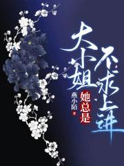 海贼王之船之精灵