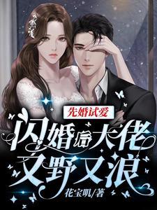 皇叔坏人