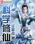 天际线advanced stop selection