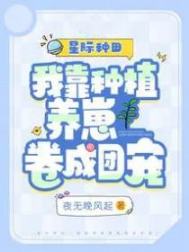 初恋未完成情节是啥意思