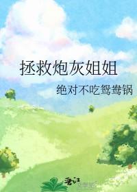 海贼王间谍