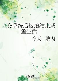 飞升祖国人无防盗