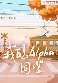 仙武神帝 星辉流明