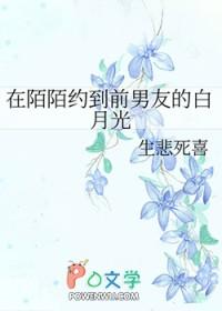 仙武神帝叶辰
