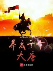 偷心电视
